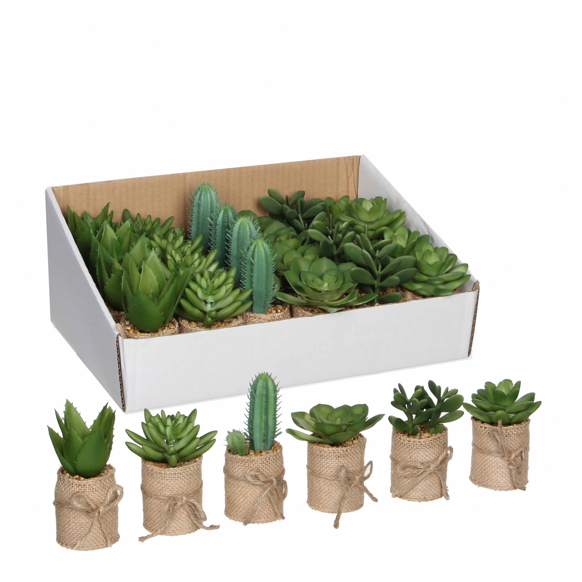 Sukulent u tegli sort - h12xd5cm Sukulent u tegli sort - h12xd5cm