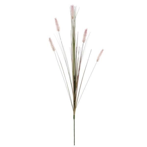 Dogtail grass ljubičsta - l84cm