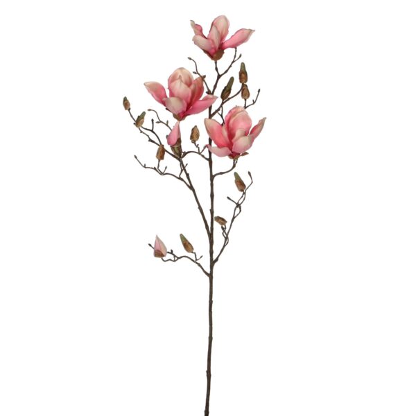 Magnolia roza - l88cm