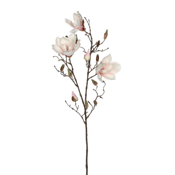 Magnolia sv. roza - l88cm