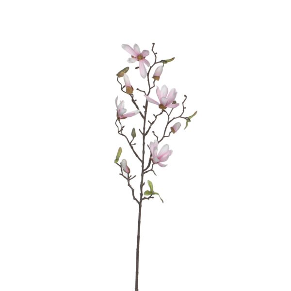 Magnolia roza - l75cm