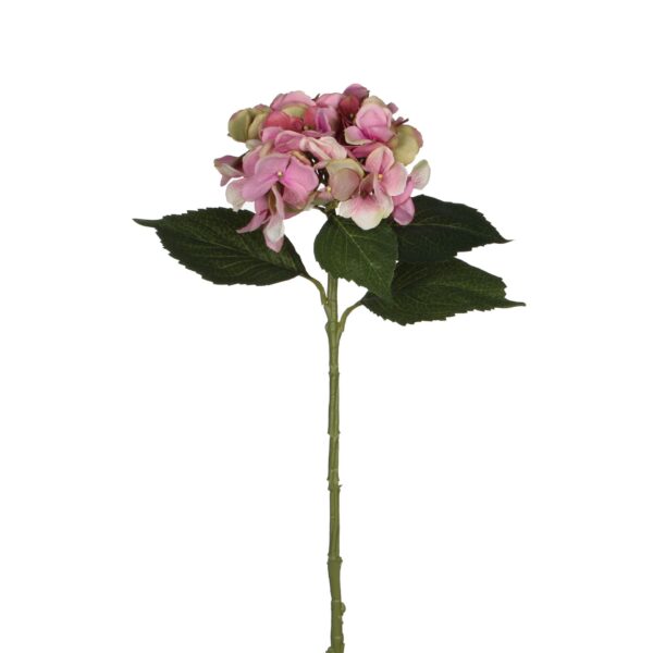 Hortenzija roza - l51cm
