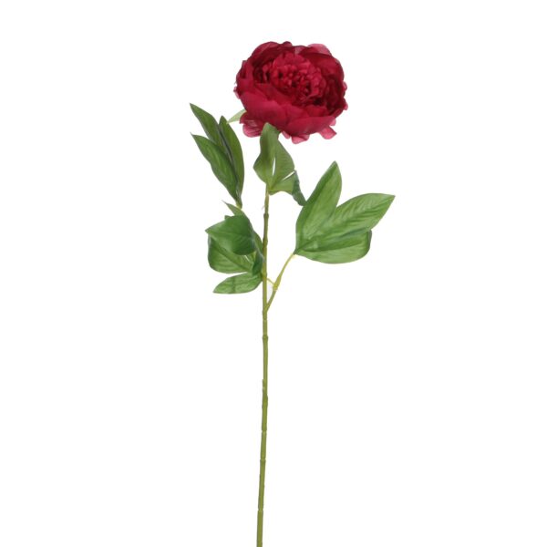 Božur t.roza - l76cm
