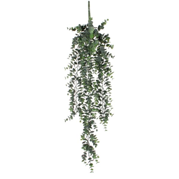 Eucalyptus viseći - l78cm