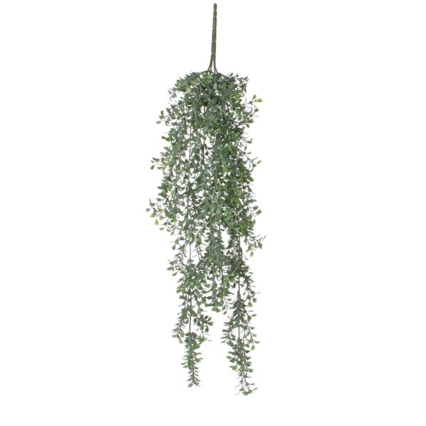 Buxus viseći - l74cm