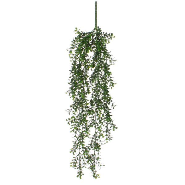 Buxus viseći - l74cm