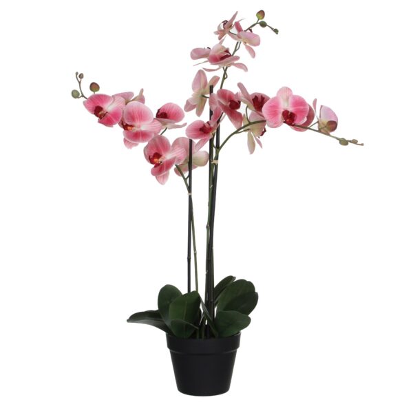 Orhideja roza - l75xw51xh79cm