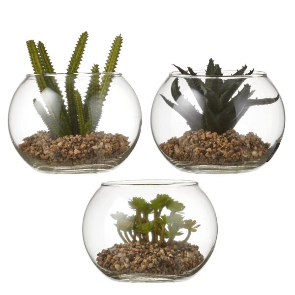 Sukulent sort - h11xd15cm