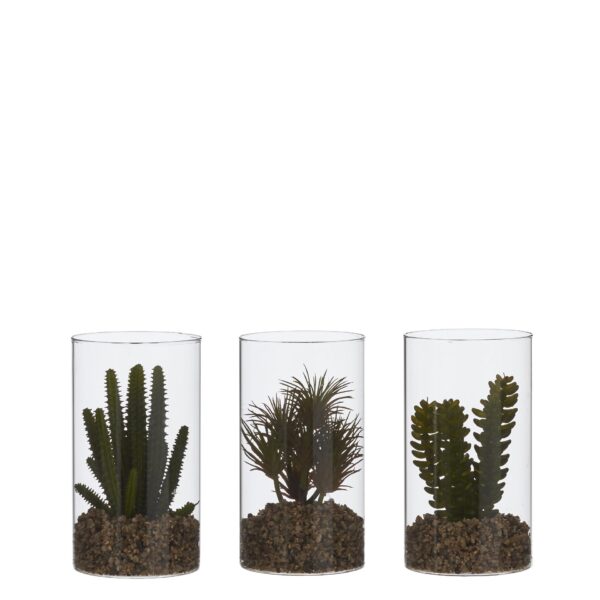 Sukulent sort - h18xd10cm