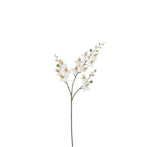 Orhideja bijela - l75cm