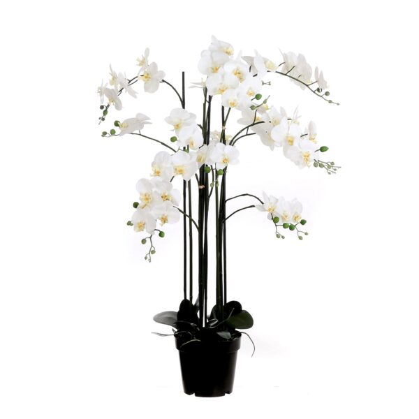 Orhideja krem - h117xd35cm