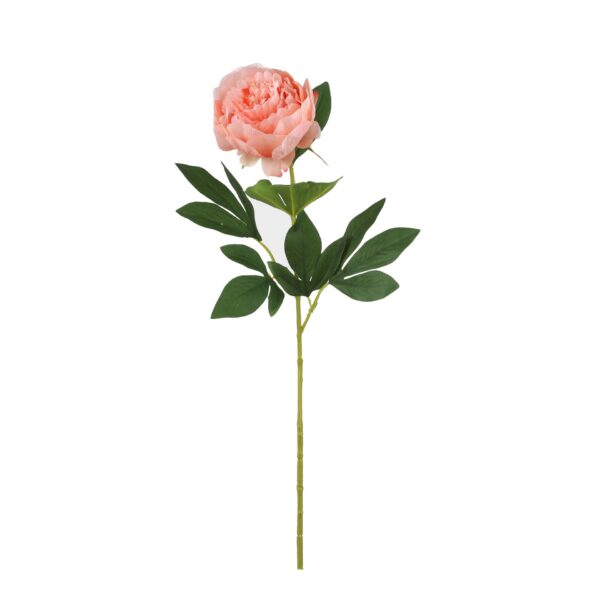 Božur boja breskve - l76cm