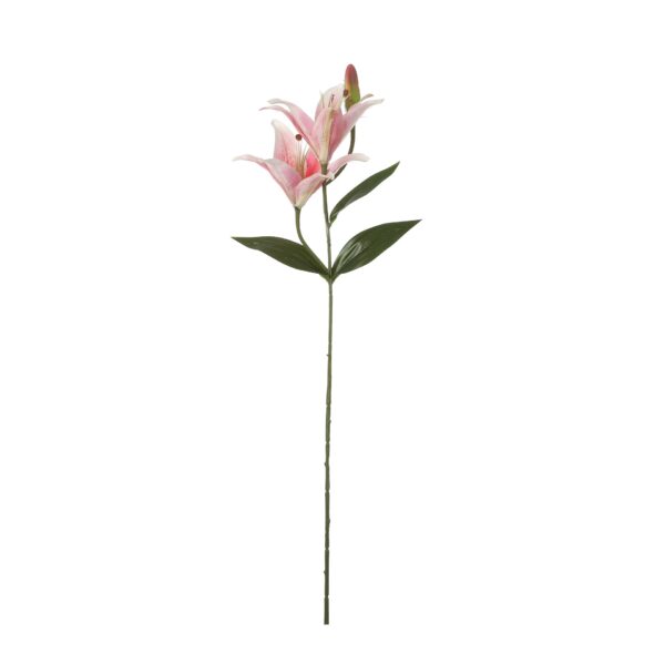 Tigerlily rozi - l65cm