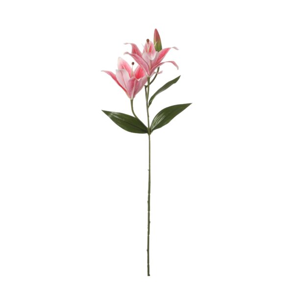 Tigerlily fuksija - l65cm