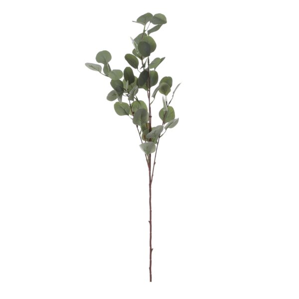 Eucalyptus - l93cm