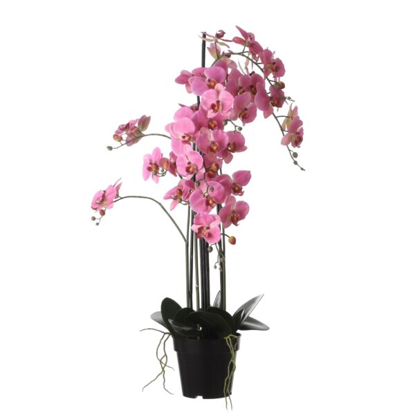 Orhideja u tegli roza - h97xd19cm