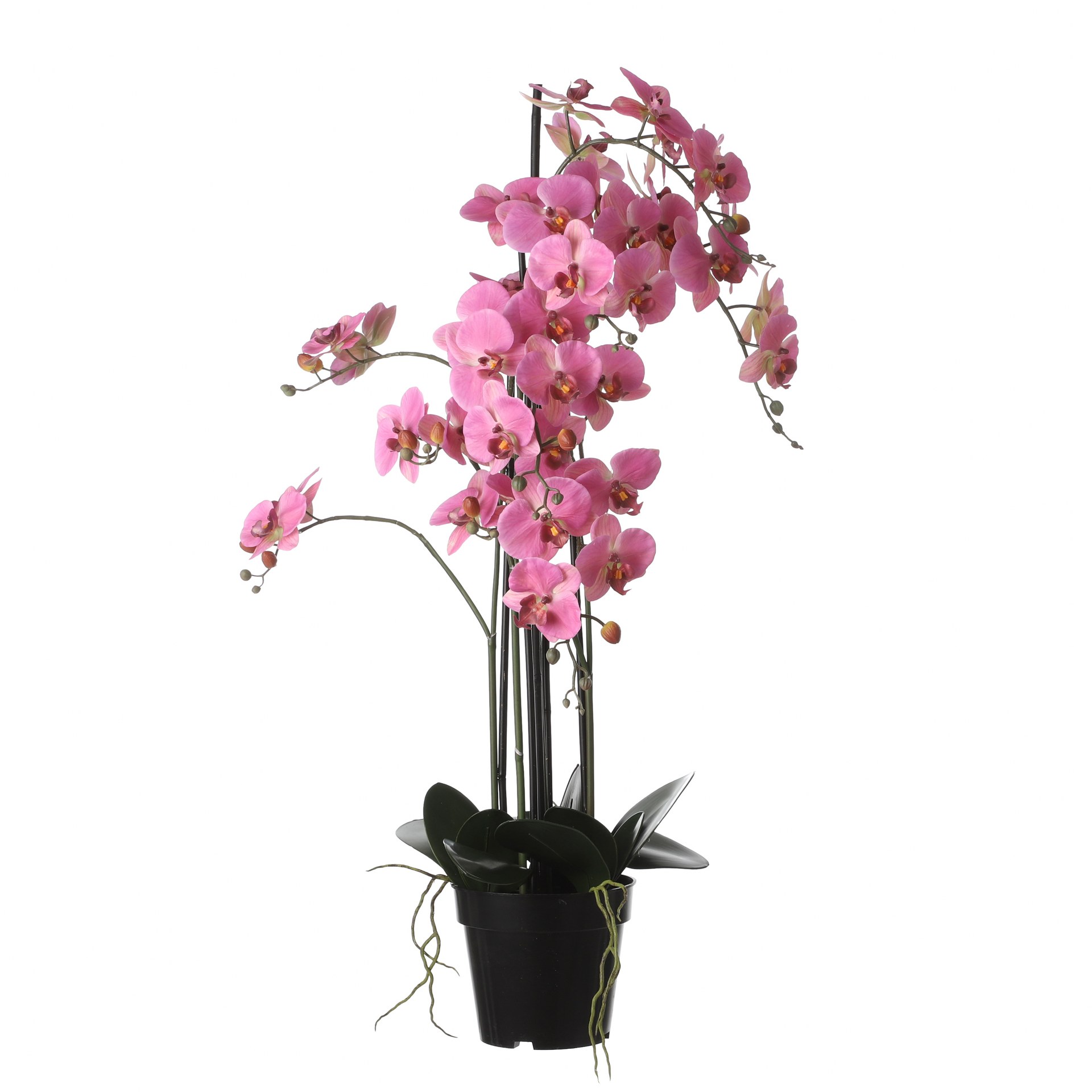 Orhideja u tegli roza - h97xd19cm Orhideja u tegli roza - h97xd19cm