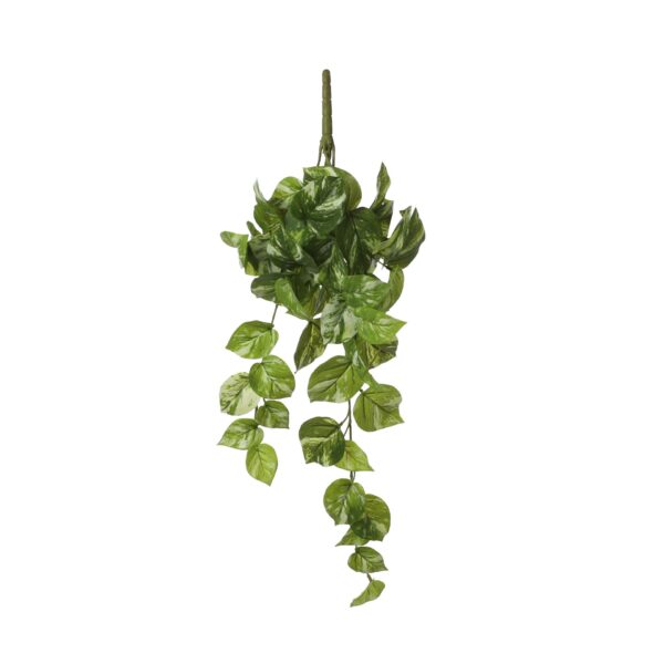 Pothos viseći - l58xw20xh14cm