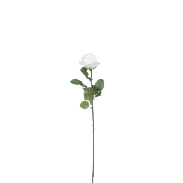 Ruža krem - l69cm