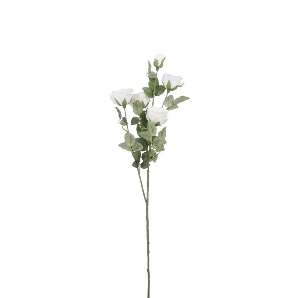 Ruža krem - l73cm