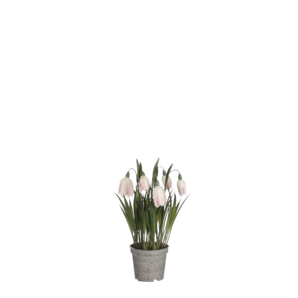 Fritillaria u tegli - l23xd8,5cm