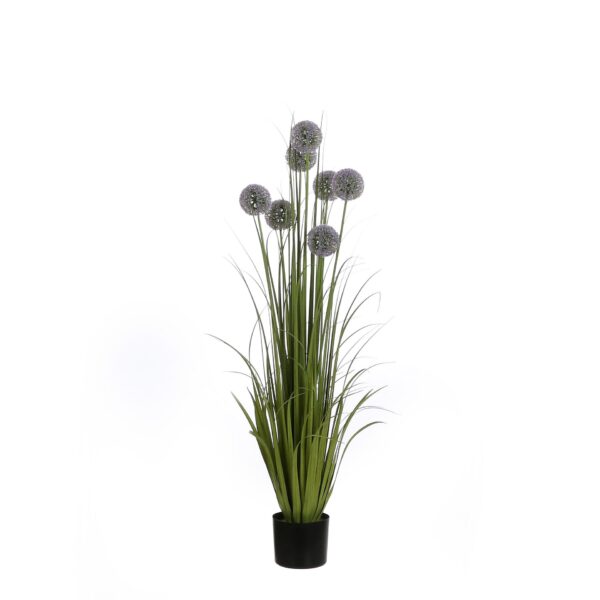 Allium u tegli t. roza - h122xd60cm
