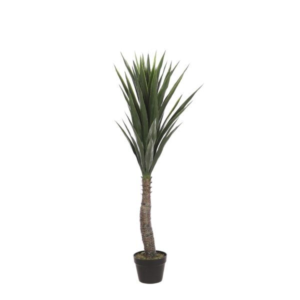 Yucca u tegli - h120xd60cm