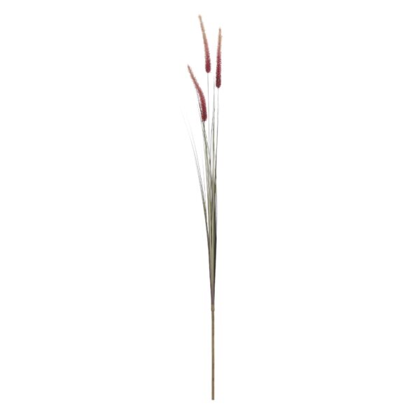 Rogoz smeđa - l105cm