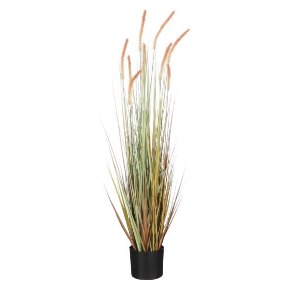 Rogoz u tegli sv. smeđa - h115xd35cm