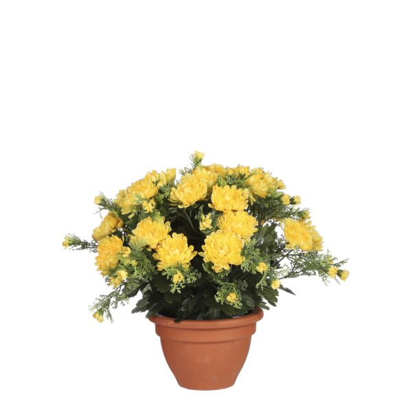 Dalia žuta u tegli -d15,5cm - h28xd34cm