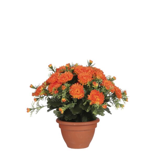 Dalia narančasta u tegli d15,5cm - h28xd34cm