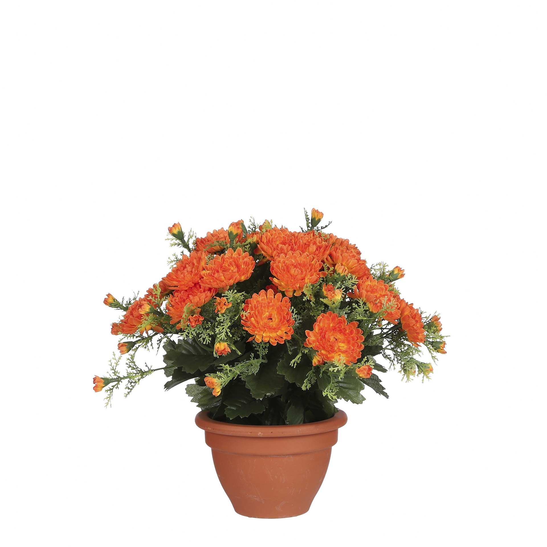 Dalia narančasta u tegli d15,5cm - h28xd34cm Dalia narančasta u tegli d15,5cm - h28xd34cm