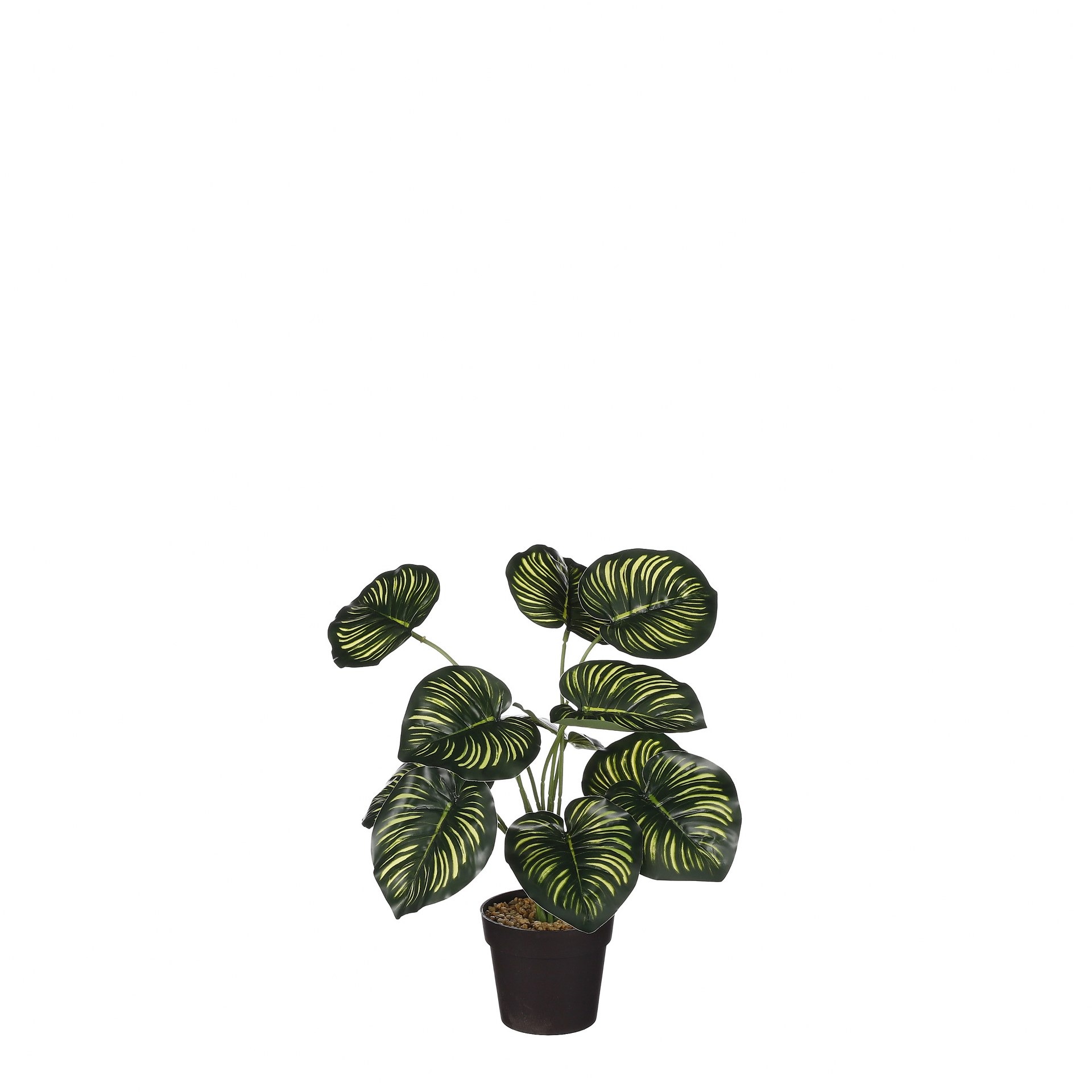 Kalatea u tegli - h40xd35cm Kalatea u tegli - h40xd35cm