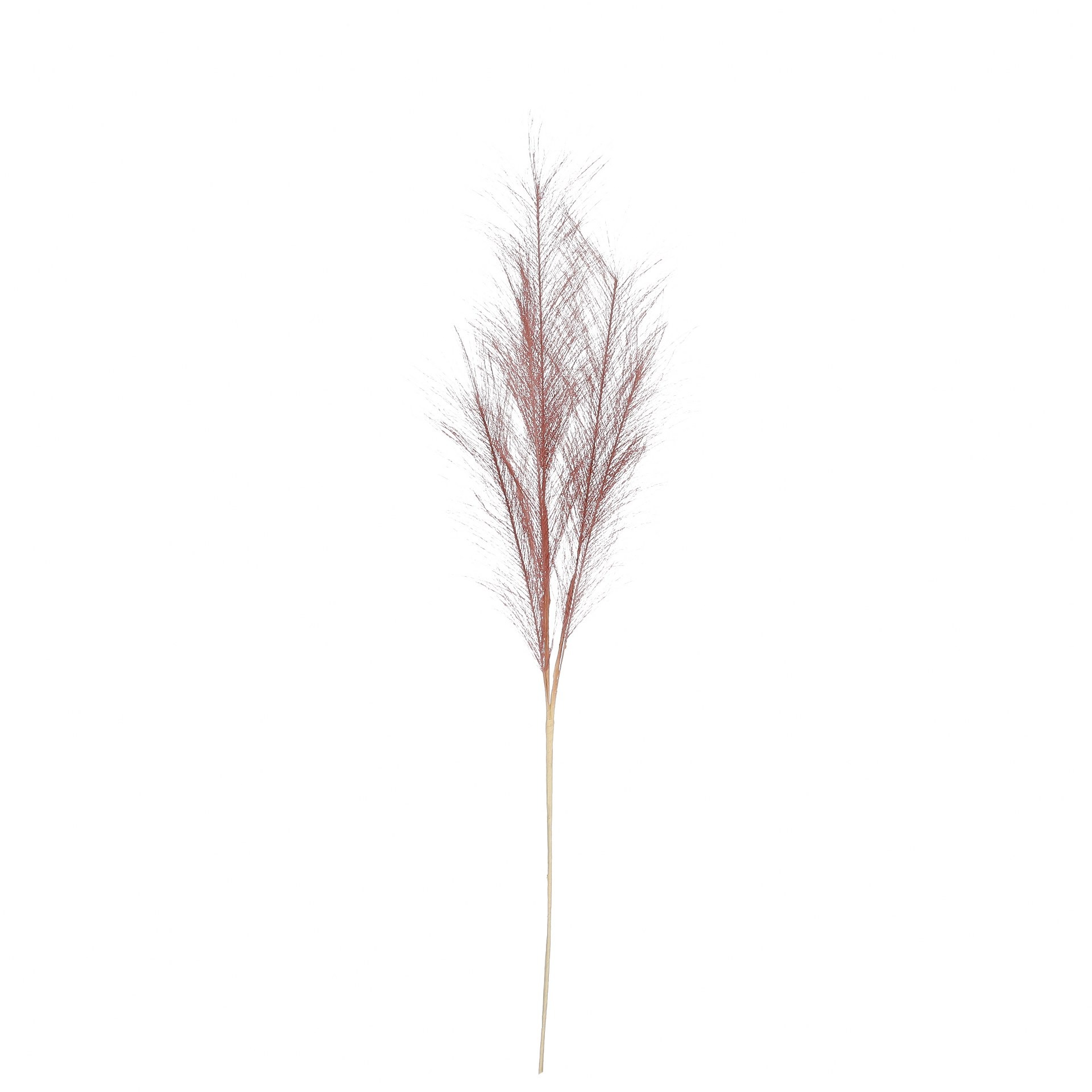 Suho cvijeće t.roza trava - l77xd10cm Suho cvijeće t.roza trava - l77xd10cm