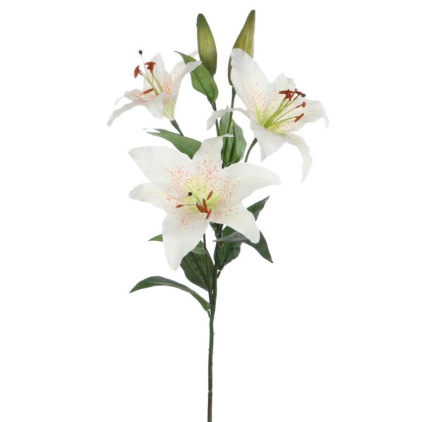 Lijlan krem - l75cm