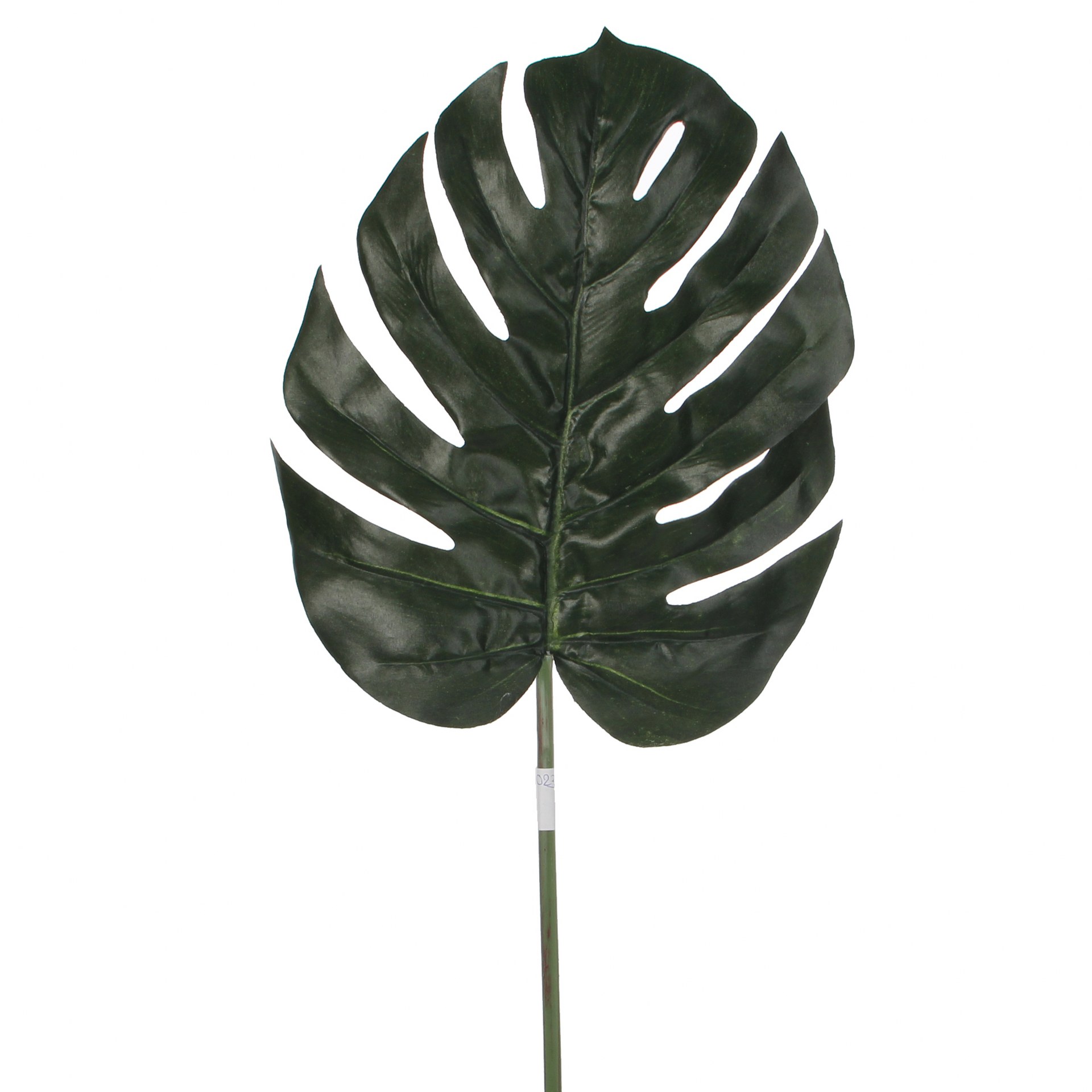 Monstera list - l88cm Monstera list - l88cm
