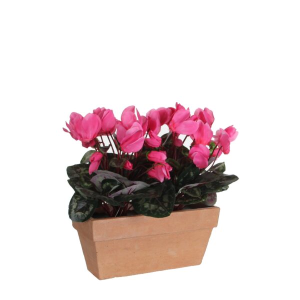 Ciklama t. roza u tegli - l29xw13xh33cm