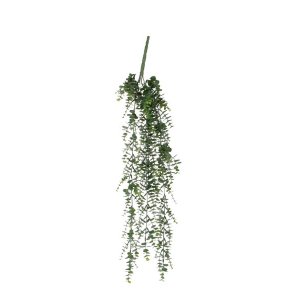 Eucalyptus viseći - l93cm