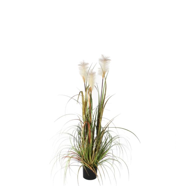 Plume grass foxtail bijela - h120xd45cm