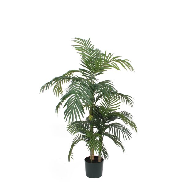 Areca palma u posudi - h150xd100cm